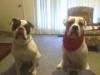 son and grandson