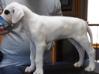 eli at 7.5 weeks