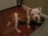 Opie First Baby Pic