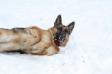 Fiona and winter and snow