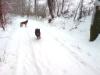 winter 2010