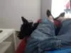 Samanta sleeping on sofa