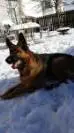 enjoying the snow