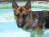Swim time