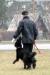 Breeding German Shepherd male