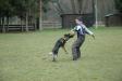 protection work training 