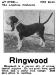Ringwood&#x27;s 1907 Ad