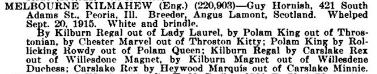 Melbourne Kilmahew 220903&#x27;s AKC Register and Pedigree entry for 1916