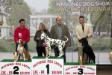 05&#x2F;04&#x2F;2014 NATIONAL DOG SHOW CAC BJELOVAR, CROATIA: Judge: Mr. Nenad Jagodić (CRO) Exc1, Junior BOB, BOB, 3rd BOG