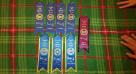 Fiera&#x27;s 2nd UKC show ribbons 