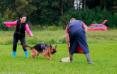 Training 