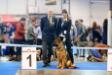 Darina - BOB and Champion RKF