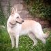 3 year old Ronja