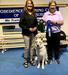 Rally Obedience title 