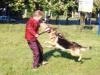IPO training