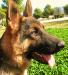Cabeza con 6 meses