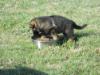 take a lil stress off mom on solids and water 