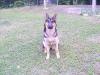 Jodi Le at 7 months old