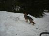 snow time