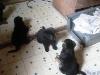 BABIES AT PLAY TIME