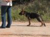 Rocky pics
