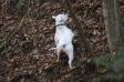 Squirrel!