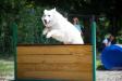 Agility
