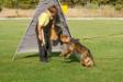 6 months old, participation in Davide Codebue seminar