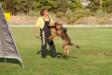 6 months old, participation in Davide Codebue seminar