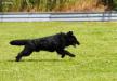 Training TZ Kreuzgrund