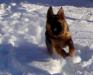 Snow