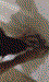 Pictures of luma