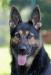 Myka 11 months