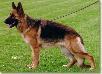 Seinara von der Grafschaft Mark Picture
