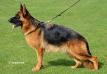 Gana Feetback (2010) Picture
