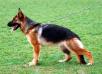 Fantastic no Bartas Krasta Picture