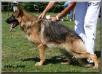 Okki von Arlett Picture