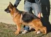 Ulla aus Westsachsen Picture