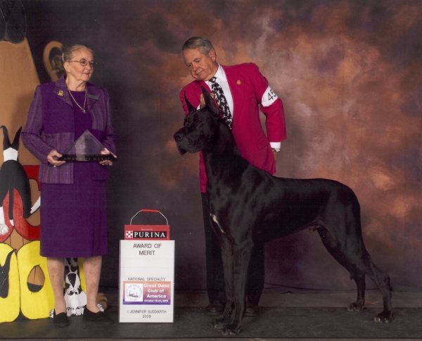 CH Warwick's Dark Vader V Dmania