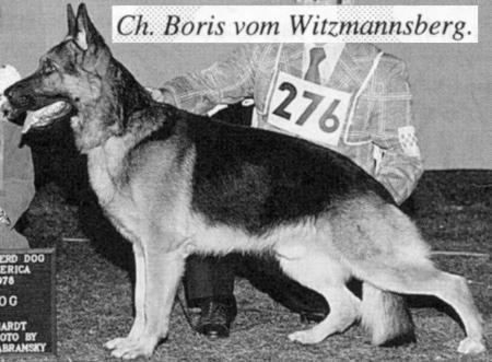 V, CH (US) Boris vom Witzmannsberg