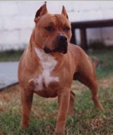 Sierras Siux de Campobravo