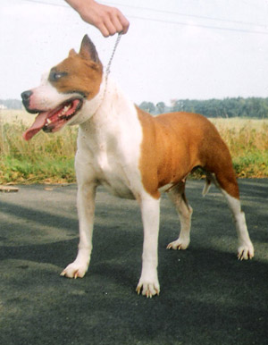 Eileen z Hanky Yankee Spirit's