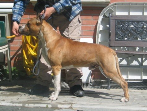 Moon Rock's Landi's Alabama Jake