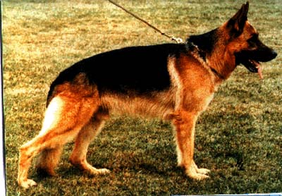 V Axel vom Bergischen Schmied