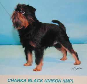 CH GB Charka Black Unison