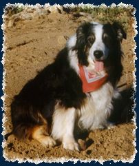 Jubilees Struttin My Stuff