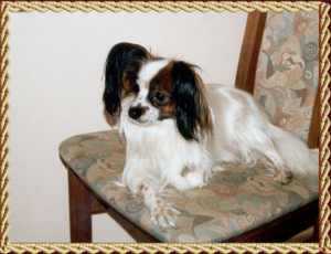 Kleiner Freund Octavia