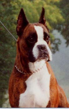 Manon du Domaine des Trois Vallées