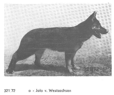 Johla aus Westsachsen