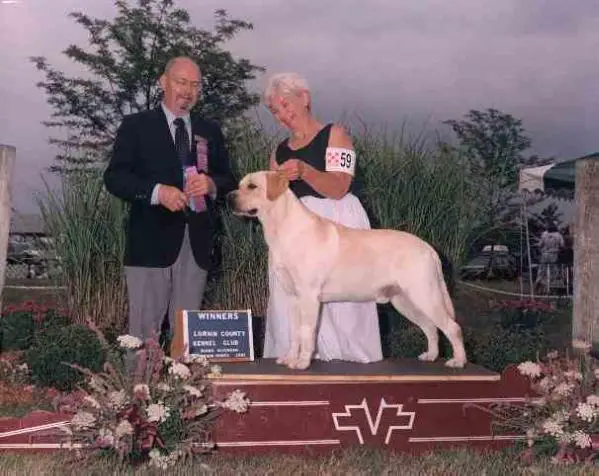 CH AM MH3 MULTI Franklin'S Pickpocket For Kerrybrook